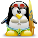 Penguin pingouin pinguino 138